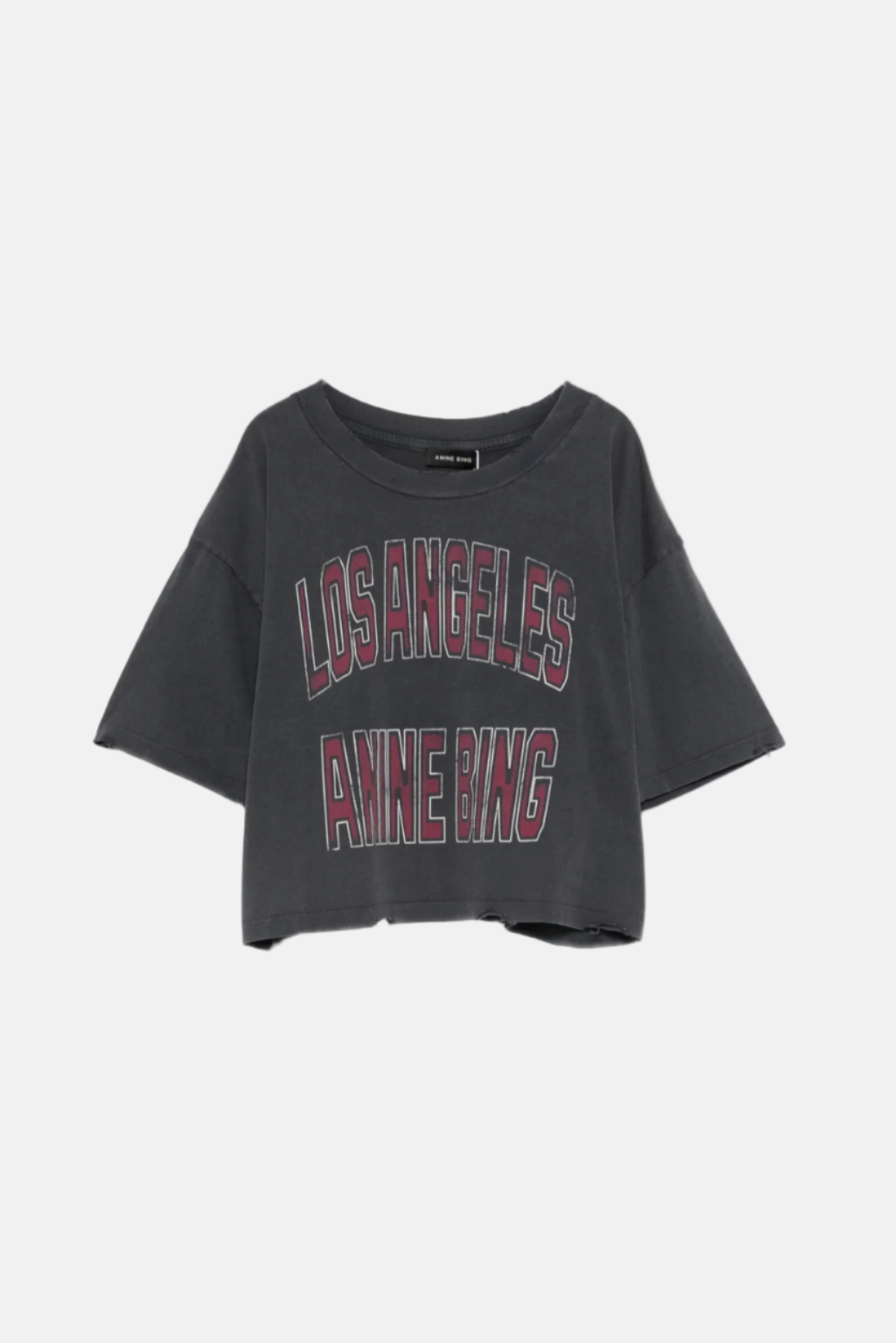 Anine Bing, Johnny, Washed Black, Cropped T-Shirt