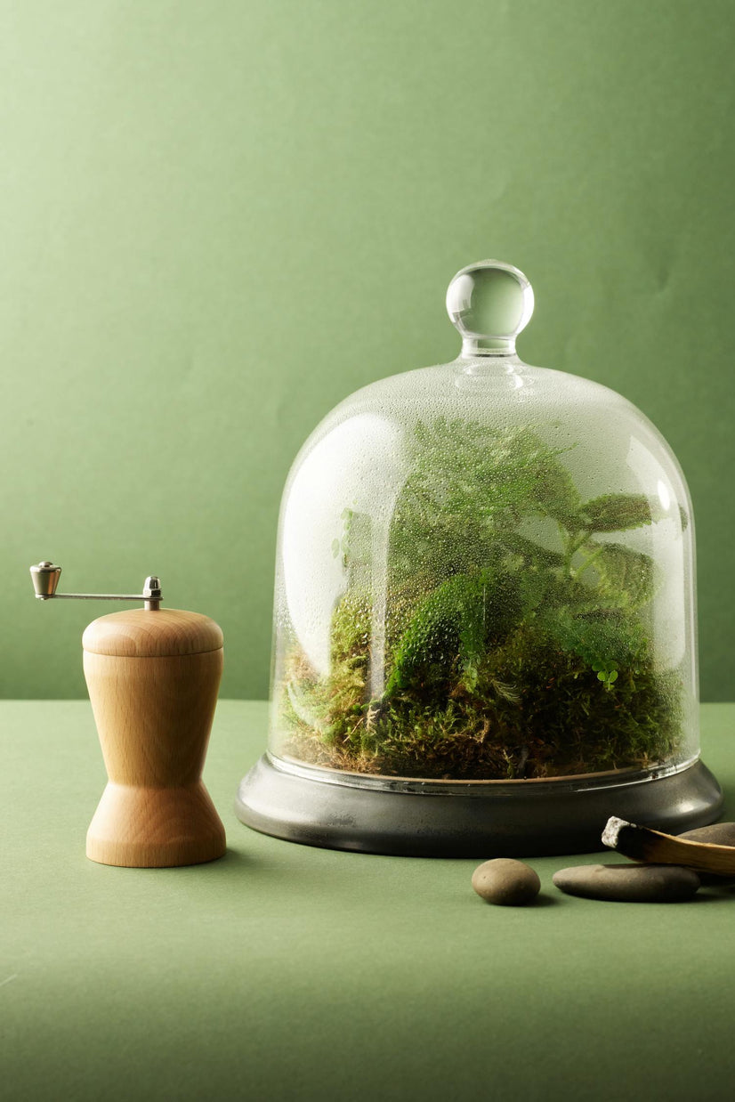 État libre d'Orange Hermann, 100ml, Parfüm