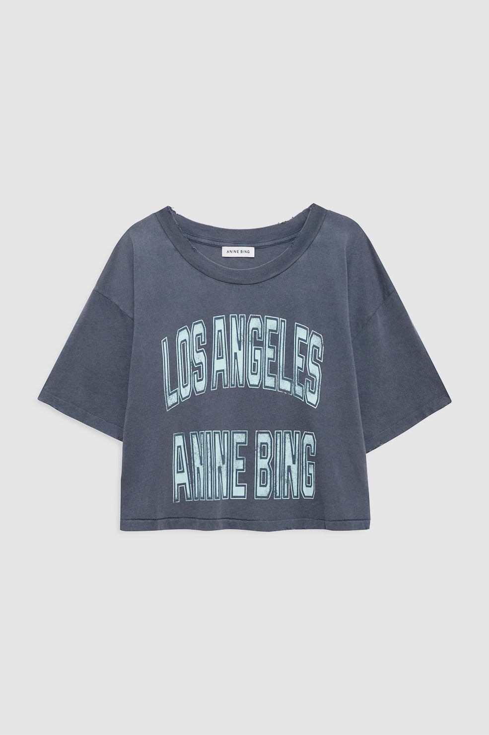 Anine Bing, Johnny Cropped Tee, Washed Grey, Shirt