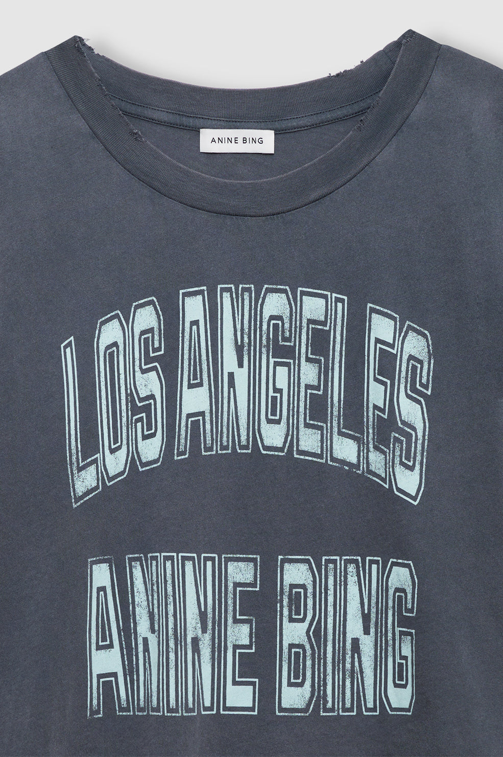 Anine Bing, Johnny Cropped Tee, Washed Grey, Shirt