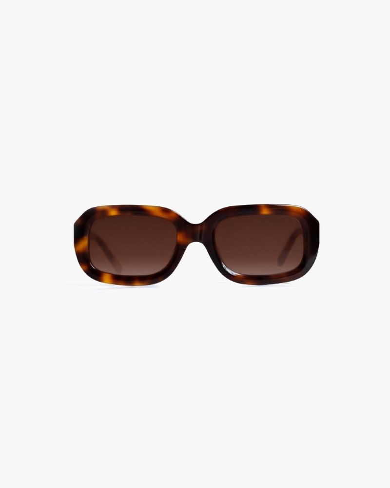 Casena Tortoise, Gradual Brown, Sonnenbrille