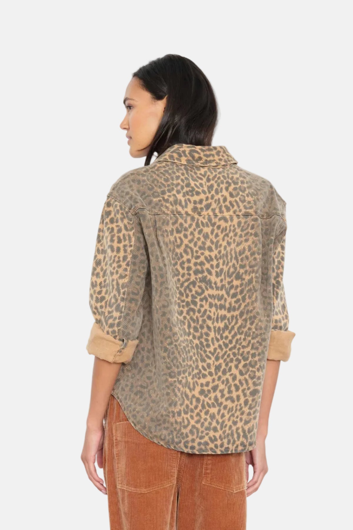 Xirena Gia, Bengal, Shirt